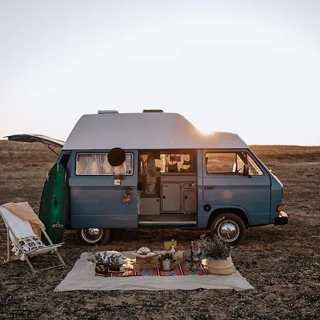 Turtles Van プエルト・デル・カルメン