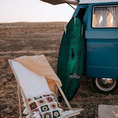 Camping Turtles Van *